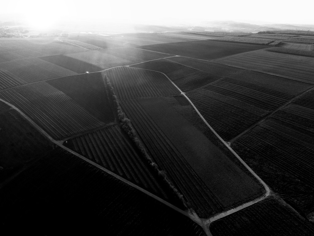 Flonheimer La Roche Luftaufnahme Blickrichtung Westen